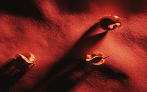 朝陽市開荒保潔有限責任公司